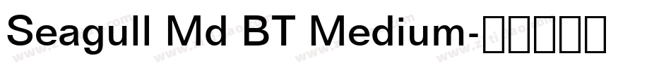 Seagull Md BT Medium字体转换
